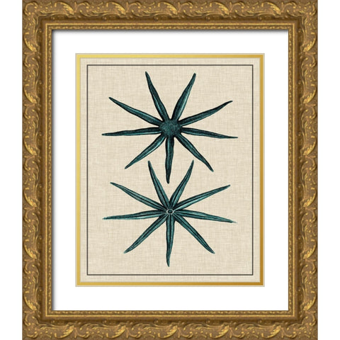 Coastal Starfish IV Gold Ornate Wood Framed Art Print with Double Matting by Vision Studio