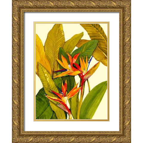 Tropical Bird of Paradise Gold Ornate Wood Framed Art Print with Double Matting by OToole, Tim