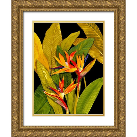 Dramatic Bird of Paradise Gold Ornate Wood Framed Art Print with Double Matting by OToole, Tim