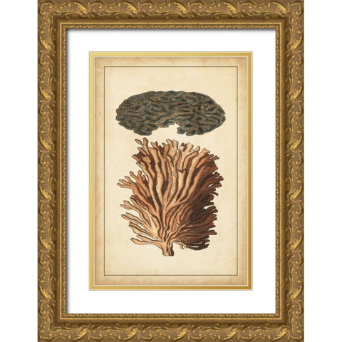Coral Companion I Gold Ornate Wood Framed Art Print with Double Matting by Vision Studio