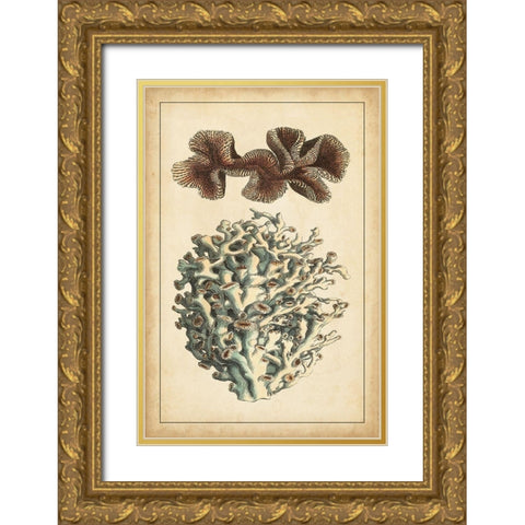 Coral Companion II Gold Ornate Wood Framed Art Print with Double Matting by Vision Studio