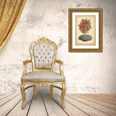 Coral Companion III Gold Ornate Wood Framed Art Print with Double Matting by Vision Studio
