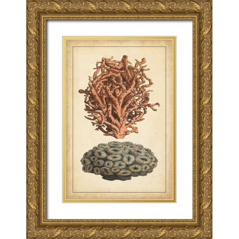 Coral Companion III Gold Ornate Wood Framed Art Print with Double Matting by Vision Studio