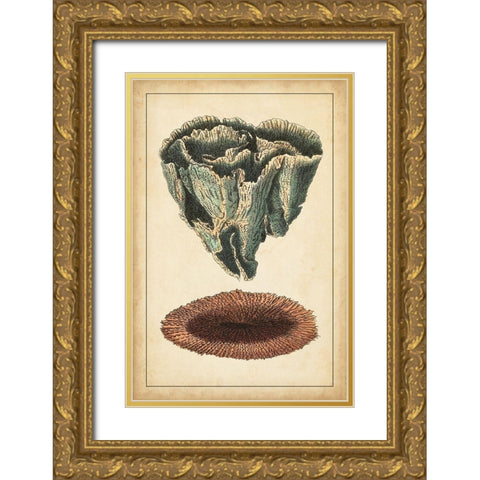 Coral Companion IV Gold Ornate Wood Framed Art Print with Double Matting by Vision Studio