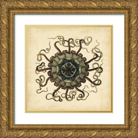 Gems of the Sea I Gold Ornate Wood Framed Art Print with Double Matting by Vision Studio