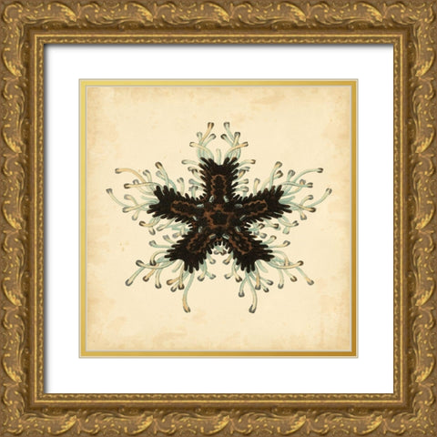 Gems of the Sea III Gold Ornate Wood Framed Art Print with Double Matting by Vision Studio