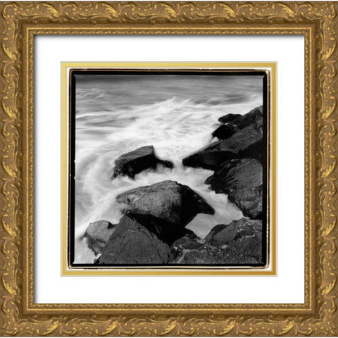 Incoming Tide I Gold Ornate Wood Framed Art Print with Double Matting by DeNardo, Laura