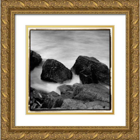 Incoming Tide II Gold Ornate Wood Framed Art Print with Double Matting by DeNardo, Laura