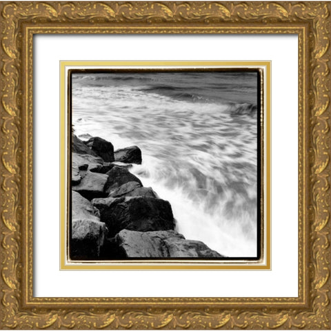Incoming Tide III Gold Ornate Wood Framed Art Print with Double Matting by DeNardo, Laura
