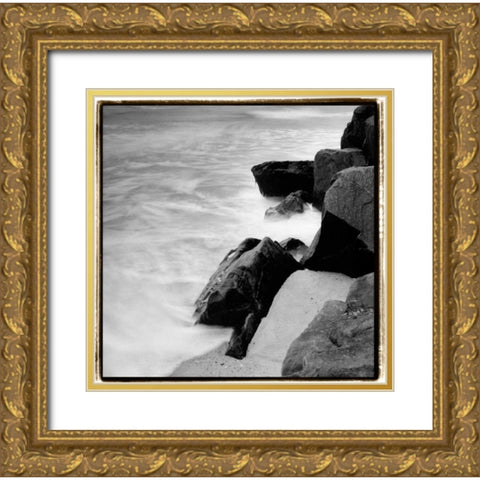 Incoming Tide IV Gold Ornate Wood Framed Art Print with Double Matting by DeNardo, Laura