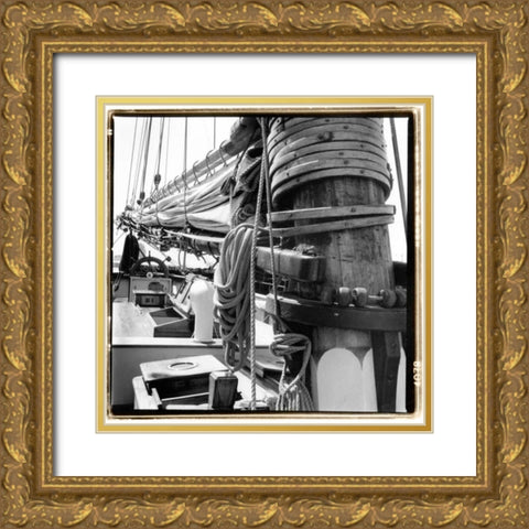 Ship Shape I Gold Ornate Wood Framed Art Print with Double Matting by DeNardo, Laura