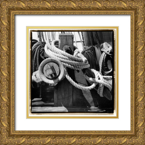 Ship Shape II Gold Ornate Wood Framed Art Print with Double Matting by DeNardo, Laura