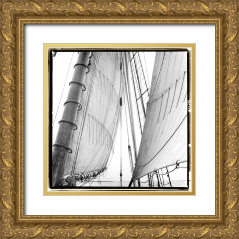 Under Sail II Gold Ornate Wood Framed Art Print with Double Matting by DeNardo, Laura
