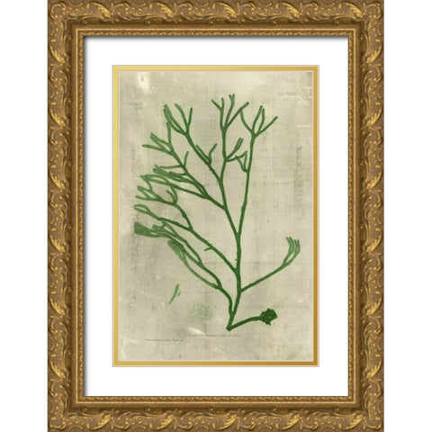 Emerald Seaweed III Gold Ornate Wood Framed Art Print with Double Matting by Unknown