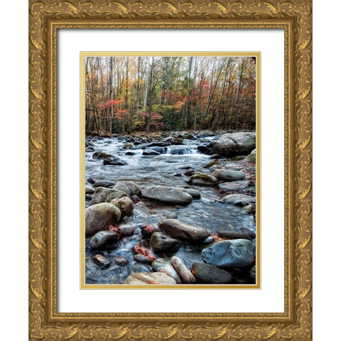 Porters Creek II Gold Ornate Wood Framed Art Print with Double Matting by Head, Danny