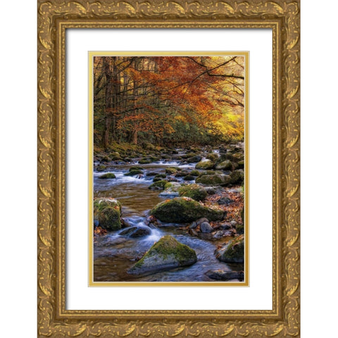 Autumn on Little River Gold Ornate Wood Framed Art Print with Double Matting by Head, Danny