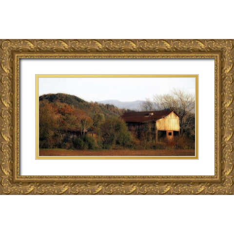 Past Prime Gold Ornate Wood Framed Art Print with Double Matting by Head, Danny