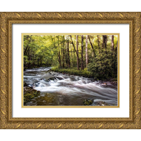 Sunlight on Jakes Creek II Gold Ornate Wood Framed Art Print with Double Matting by Head, Danny