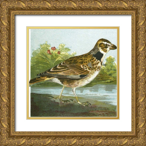 Mini Vintage Birds III Gold Ornate Wood Framed Art Print with Double Matting by Unknown