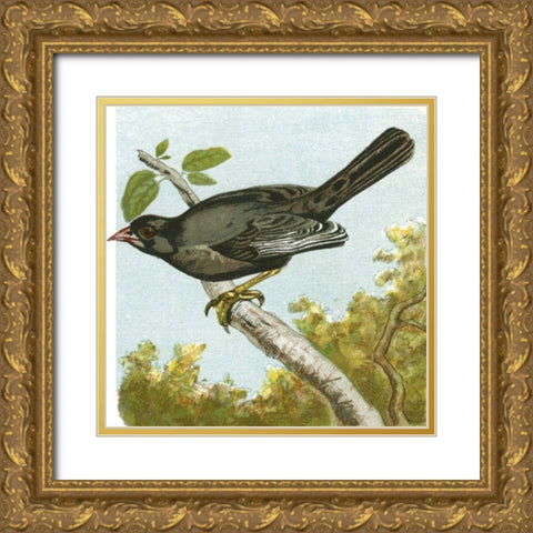 Mini Vintage Birds IV Gold Ornate Wood Framed Art Print with Double Matting by Unknown