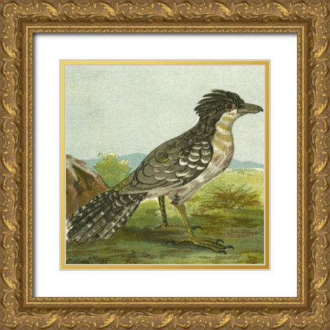 Mini Vintage Birds V Gold Ornate Wood Framed Art Print with Double Matting by Unknown