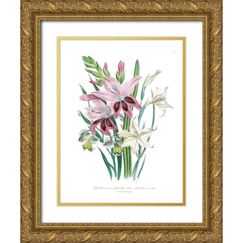 Lily Garden II Gold Ornate Wood Framed Art Print with Double Matting by Loudon, Jane