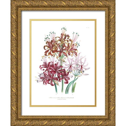 Lily Garden III Gold Ornate Wood Framed Art Print with Double Matting by Loudon, Jane