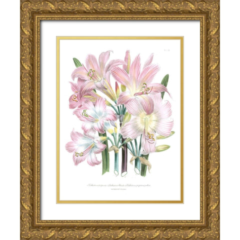Lily Garden IV Gold Ornate Wood Framed Art Print with Double Matting by Loudon, Jane