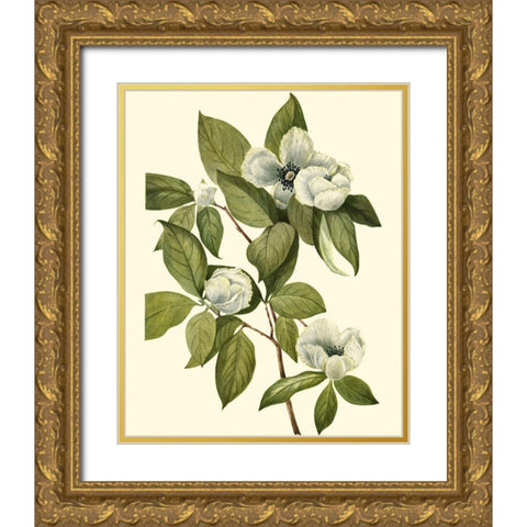 Delicate Foliage II Gold Ornate Wood Framed Art Print with Double Matting by Unknown