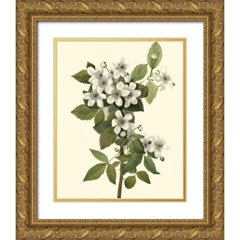 Delicate Foliage III Gold Ornate Wood Framed Art Print with Double Matting by Unknown