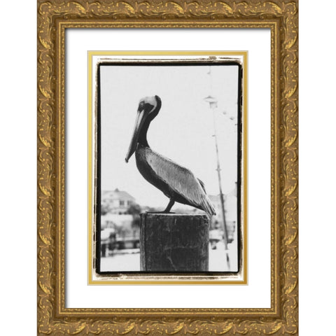 Pelican Perch Gold Ornate Wood Framed Art Print with Double Matting by DeNardo, Laura