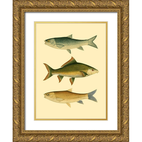 Antique Fish I Gold Ornate Wood Framed Art Print with Double Matting by Briggs, Ernest