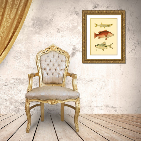 Antique Fish II Gold Ornate Wood Framed Art Print with Double Matting by Briggs, Ernest
