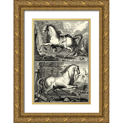 Galloping Horses I Gold Ornate Wood Framed Art Print with Double Matting by unknown
