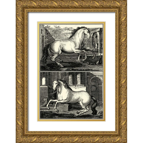 Galloping Horses II Gold Ornate Wood Framed Art Print with Double Matting by unknown
