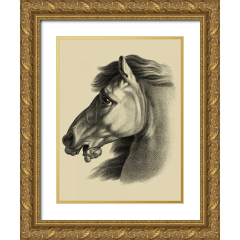 Equestrian Portrait III Gold Ornate Wood Framed Art Print with Double Matting by Vision Studio