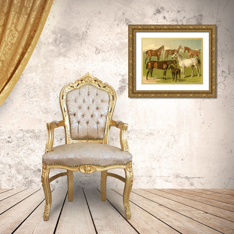 Horse Breeds I Gold Ornate Wood Framed Art Print with Double Matting by Volkers, Emil