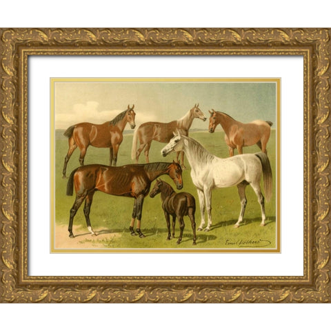 Horse Breeds I Gold Ornate Wood Framed Art Print with Double Matting by Volkers, Emil