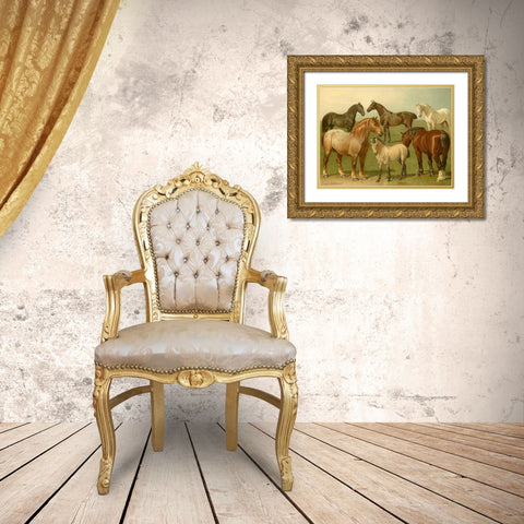 Horse Breeds II Gold Ornate Wood Framed Art Print with Double Matting by Volkers, Emil