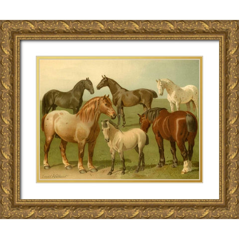 Horse Breeds II Gold Ornate Wood Framed Art Print with Double Matting by Volkers, Emil