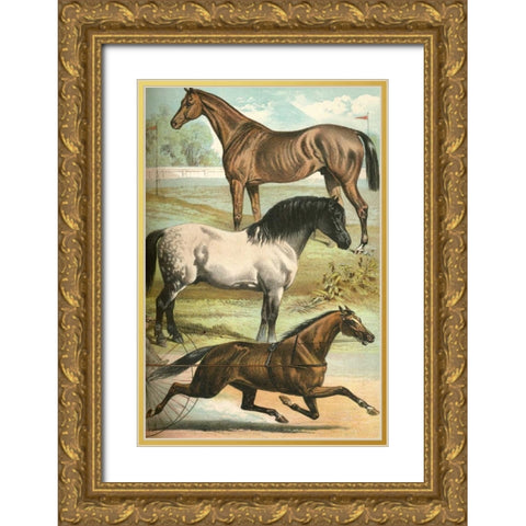 Johnsons Horse Breeds I Gold Ornate Wood Framed Art Print with Double Matting by Johnson, Henry J.