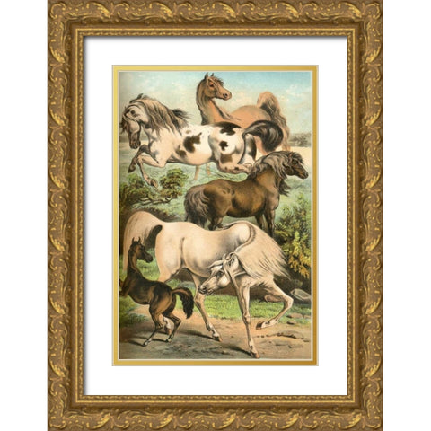 Johnsons Horse Breeds II Gold Ornate Wood Framed Art Print with Double Matting by Johnson, Henry J.