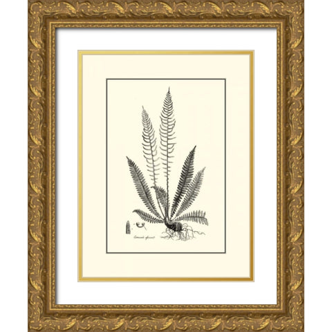 BandW Fern I Gold Ornate Wood Framed Art Print with Double Matting by Curtis