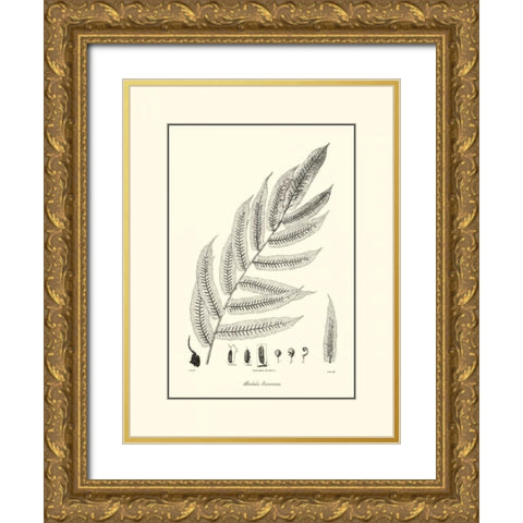 BandW Fern III Gold Ornate Wood Framed Art Print with Double Matting by Curtis