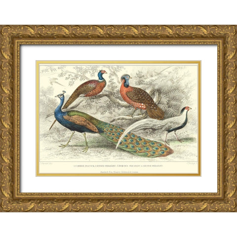 Peacock and Pheasants Gold Ornate Wood Framed Art Print with Double Matting by Stewart, J.