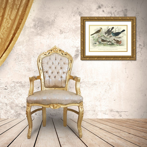 Skylark, Songthrush and Redbreast Gold Ornate Wood Framed Art Print with Double Matting by Stewart, J.