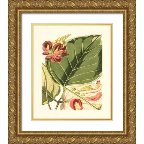 Fantastical Botanical I Gold Ornate Wood Framed Art Print with Double Matting by Vision Studio