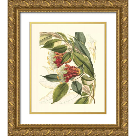 Fantastical Botanical II Gold Ornate Wood Framed Art Print with Double Matting by Vision Studio