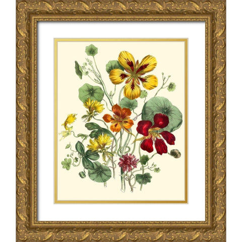 Summer Flowers I Gold Ornate Wood Framed Art Print with Double Matting by Unknown