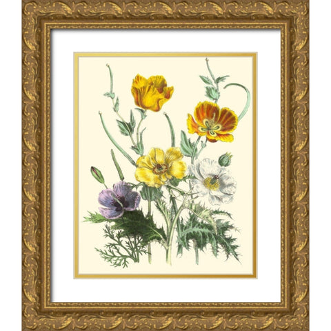 Summer Flowers II Gold Ornate Wood Framed Art Print with Double Matting by Unknown